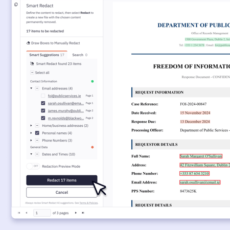 Screenshots-Smart Redact-SuggestionsALT